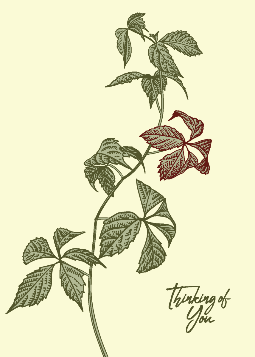 Thinking of You With Virginia Creeper - Sherbet Lemon